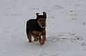 Bieszczady 12.2007 033